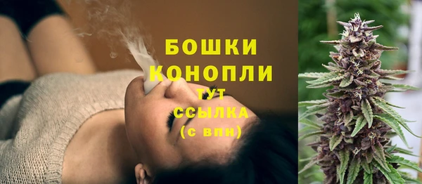 дурь Богородицк
