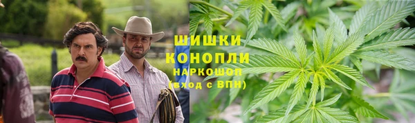 дурь Богородицк