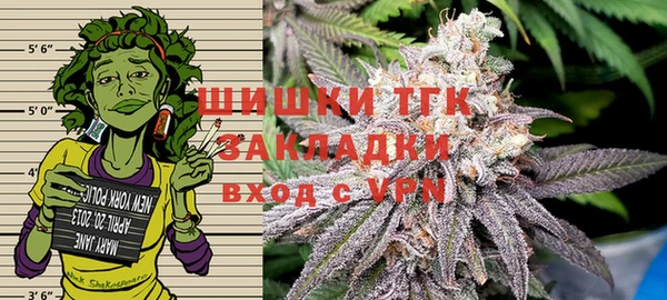 дурь Богородицк
