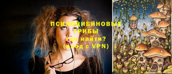 ПСИЛОЦИБИНОВЫЕ ГРИБЫ Богородск