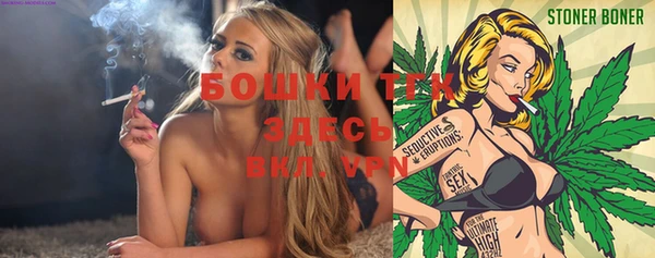 дурь Богородицк