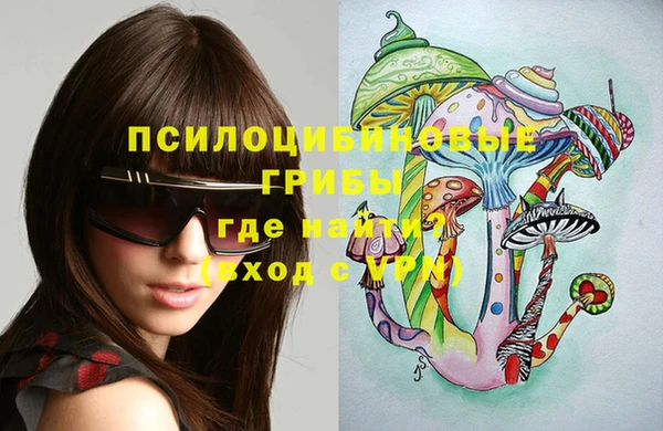 ПСИЛОЦИБИНОВЫЕ ГРИБЫ Богородск