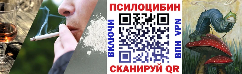 цена наркотик  Шарья  Псилоцибиновые грибы Psilocybe 